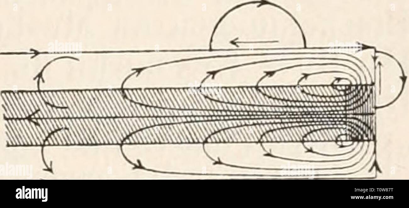 Elektrophysiologie (1895) Elektrophysiologie elektrophysiolog00bied Year: 1895 Die elektromotorischen Wirkungen der Nei-ven. 707 Stromstärke und Stromesdauer an der physiologischen Kathode, d. h. an jedem Punkte, wo der Strom aus der erregbaren Substanz austritt, während der Schliessungszeit ein Zustand erhöhter Anspruchsfähigkeit besteht, während das Umgekehrte an der physiologischen Anode der Fall ist, so ergiebt sich unmittelbar auch ein Verständniss für die Thatsache der intra- und extrapolar sich ausbreitenden polar-antago- nistischen Erregbarkeitsänderungen eines polarisirten markhalti Stock Photo