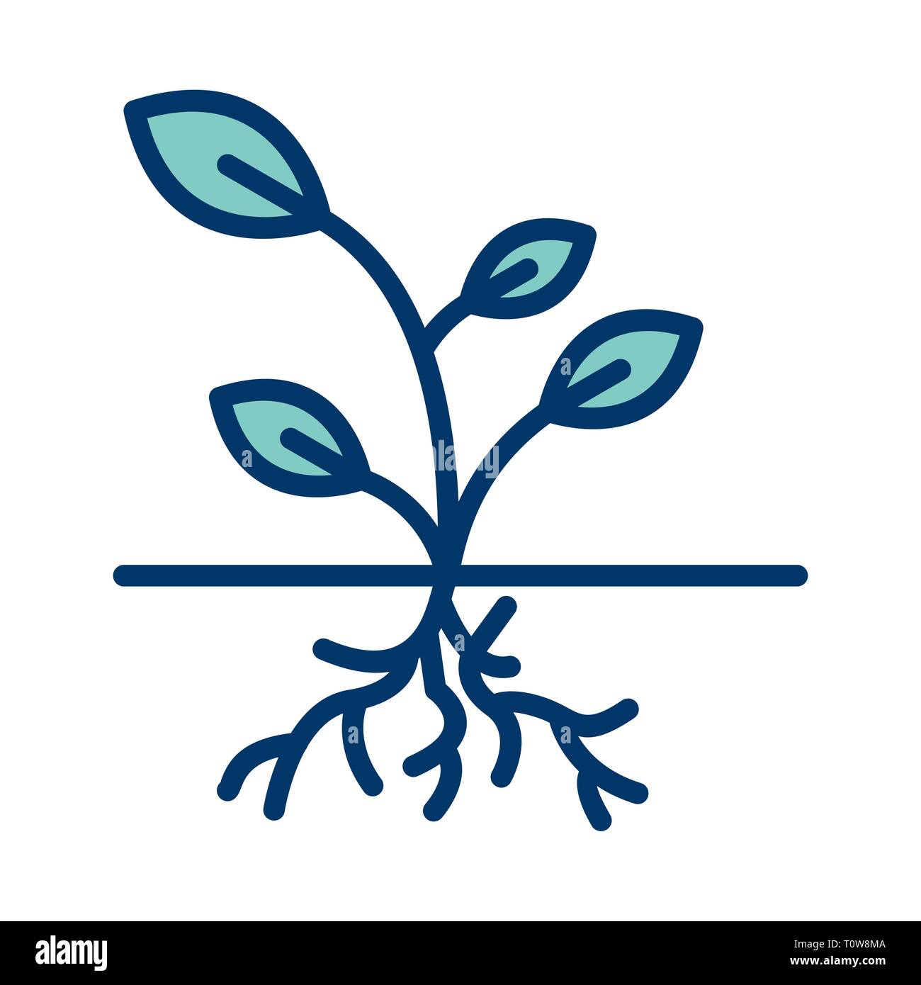 Illustration Root Icon Stock Photo - Alamy