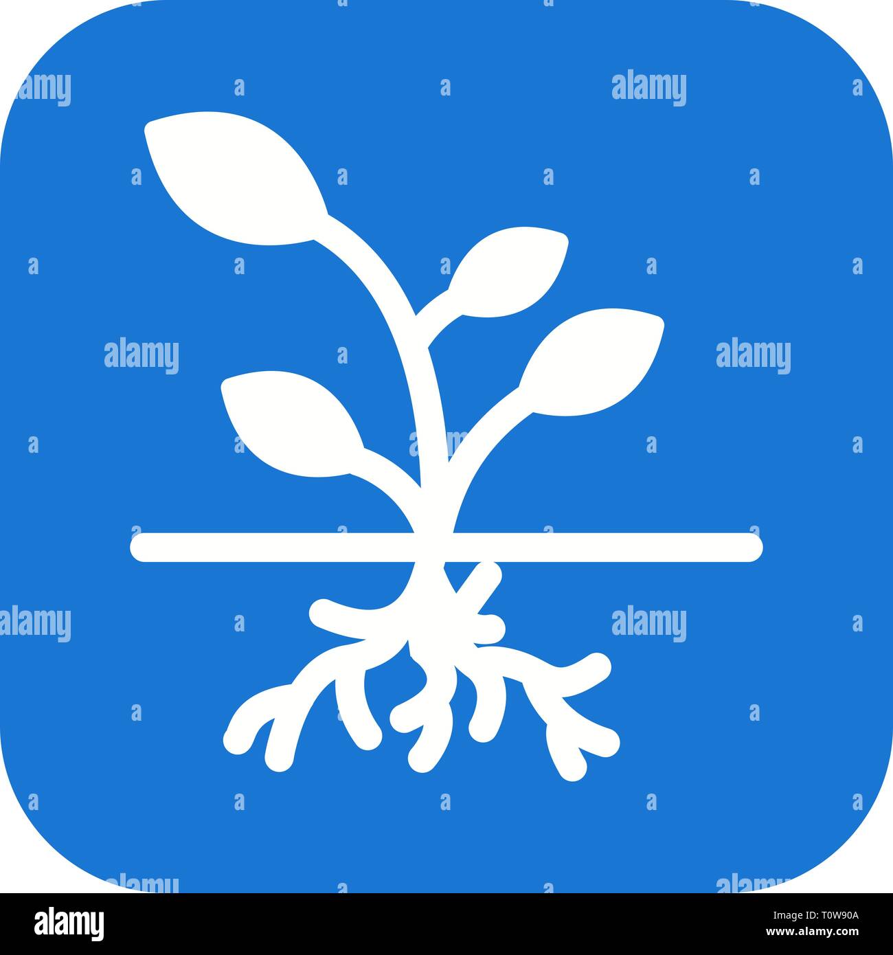 Illustration Root Icon Stock Photo - Alamy