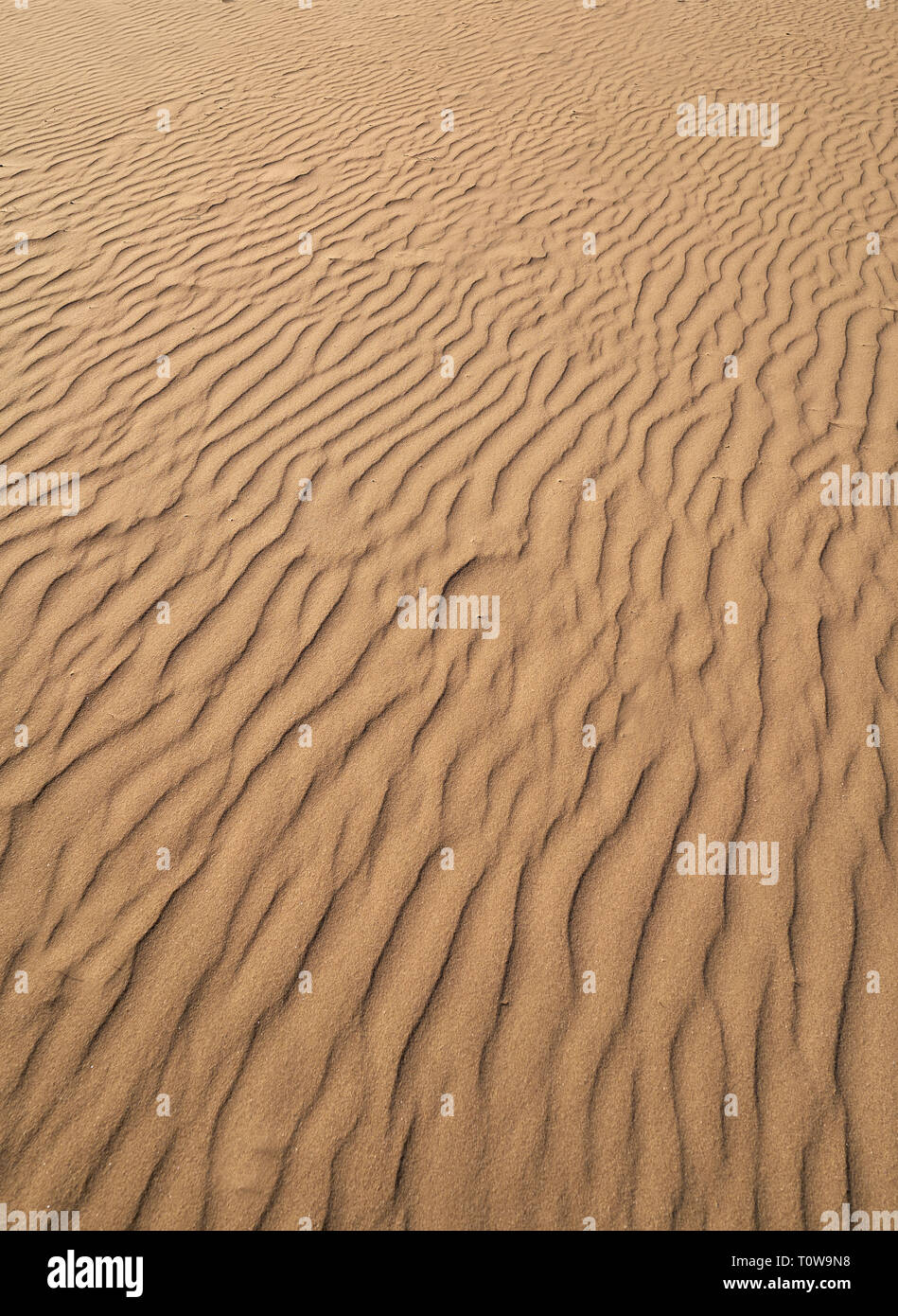 Dunes sand texture in Costa Dorada of Catalonia Stock Photo