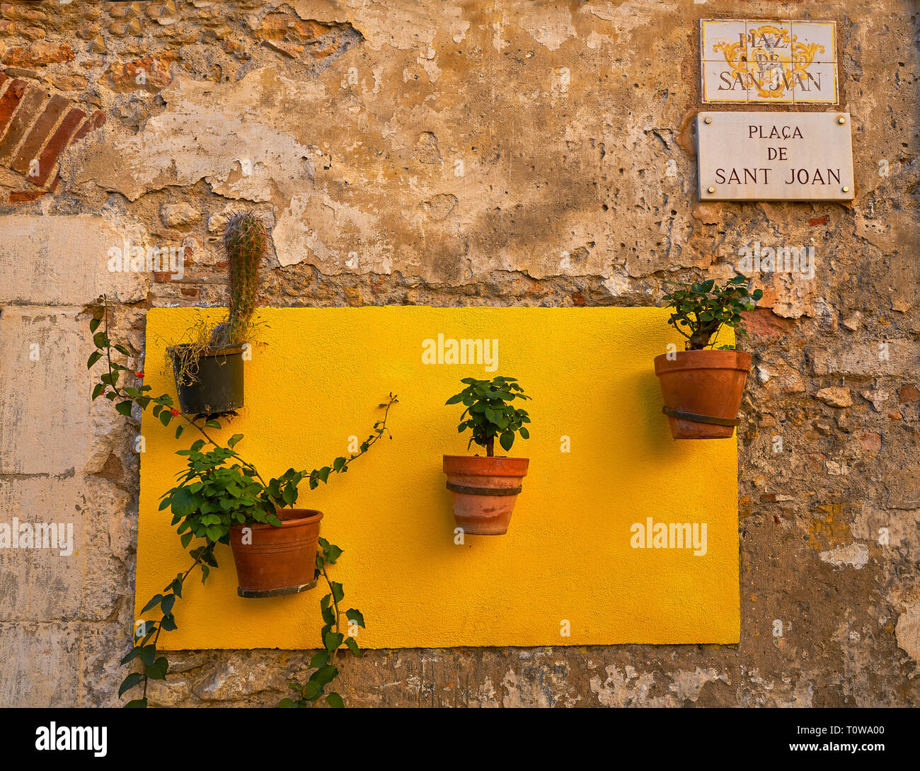 Tarragona Sant Joan Square plant pots in Catalonia Stock Photo