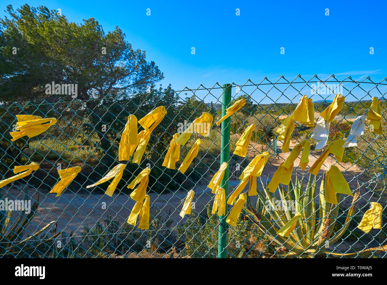 Yellow ribbon ties in Catalonia protest against political prisoners sign Stock Photo