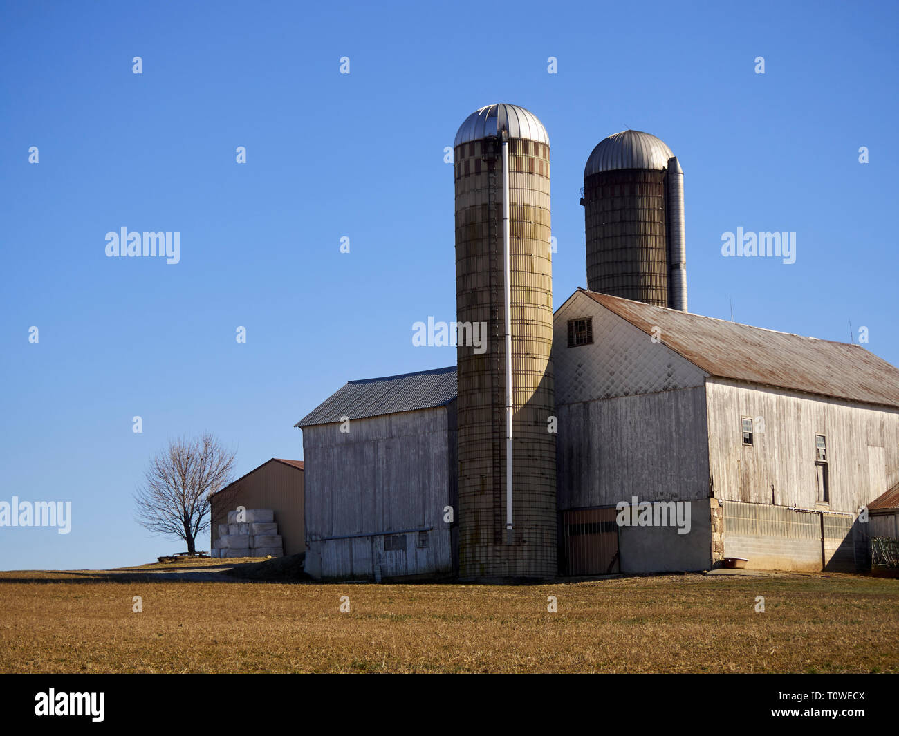 A Barn And Silos On A Farm Lancaster County Pa Stock Photo
