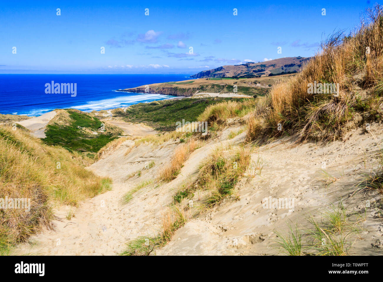 The sand dunes at Sandfly Bay, Otago Peninsular, South Island, New Zealand Stock Photo