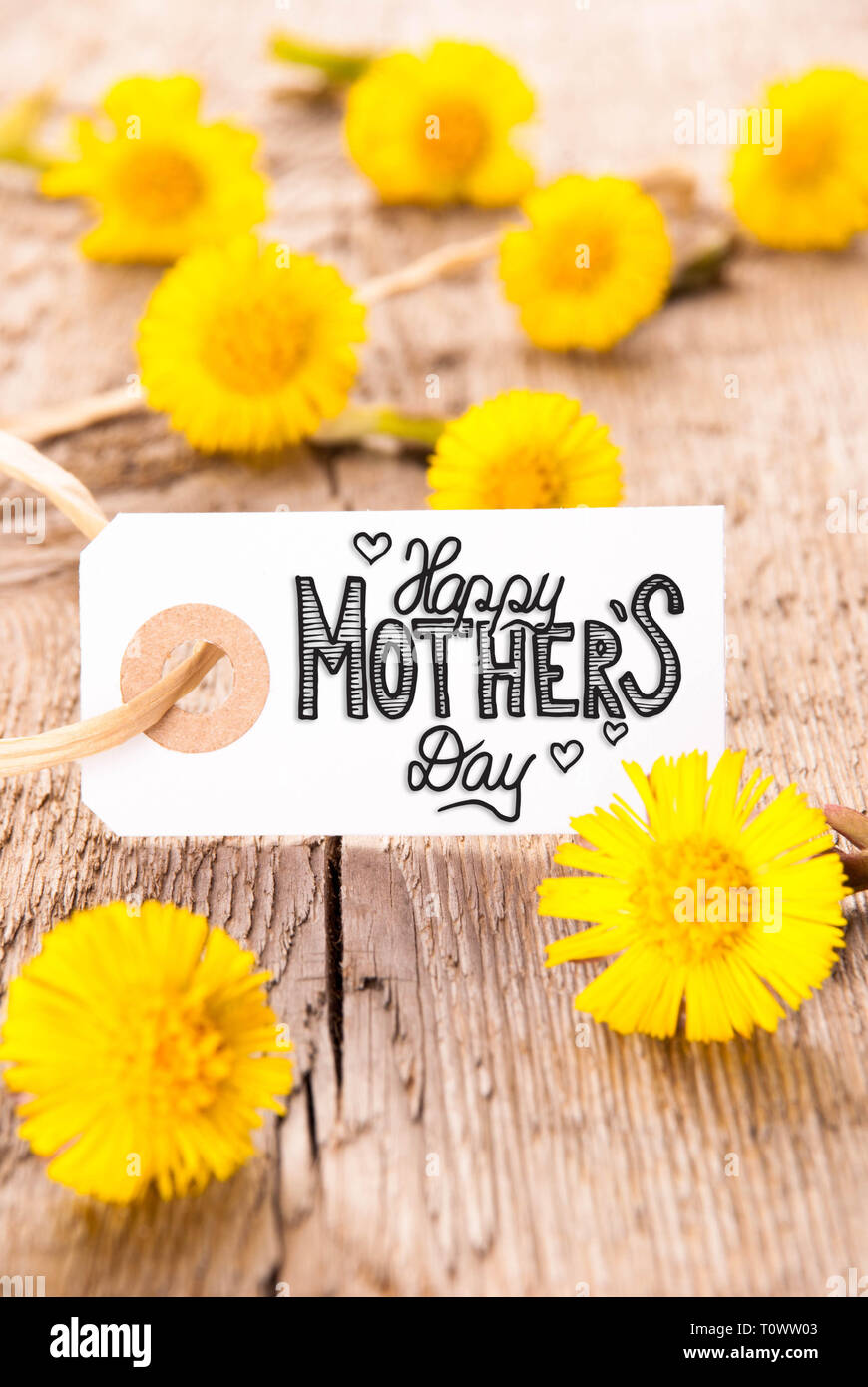 White Label With English Calligraphy Happy Mothers Day Dandelion Blossom On Wooden Rustic Background Stock Photo Alamy White Label With English Calligraphy Happy Mothers Day Dandelion Blossom On Wooden Rustic Background Stock Photo Alamy