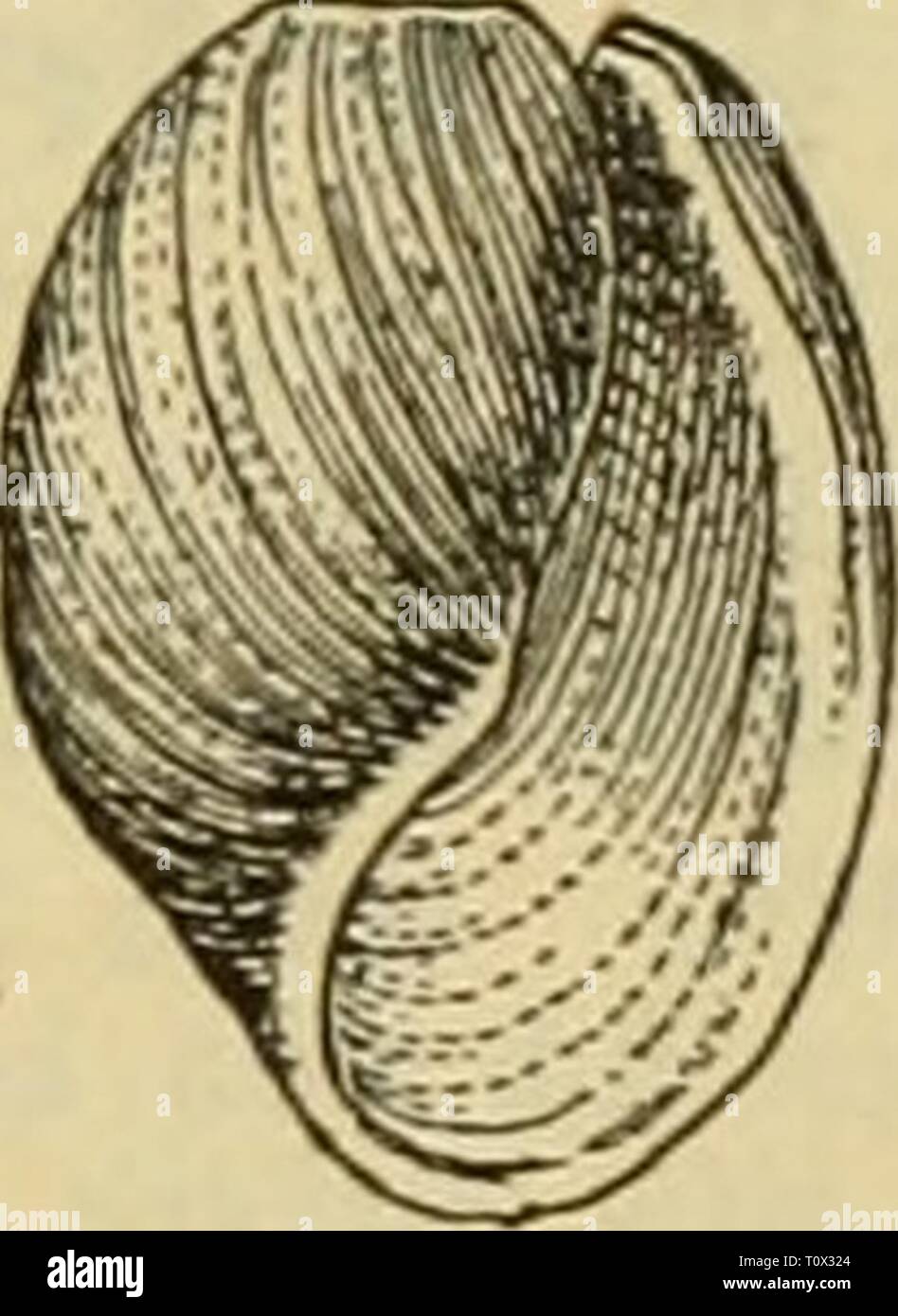 2 869 Stock Photos 2 869 Stock Images Alamy