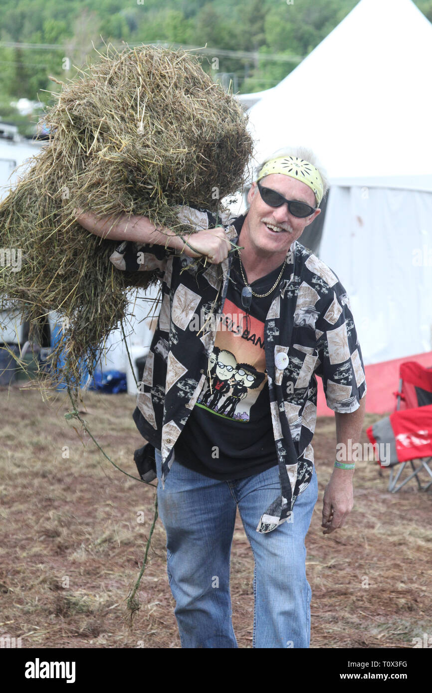 This happy camper is shown carrying a bale of hay during the Mountain Jam music festival in Hunter, New York. Stock Photo