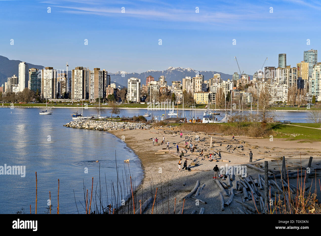 Hadden Park beach, official dog off-leash area, Vancouver, British Columbia, Canada Stock Photo