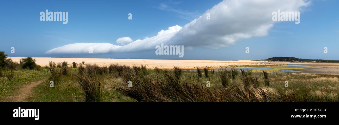 A dramatic coastal Volutus storm cloud, a low, horizontal, tube-shaped type of arcus cloud, also called roll or shelf cloud, Australia, NSW Stock Photo