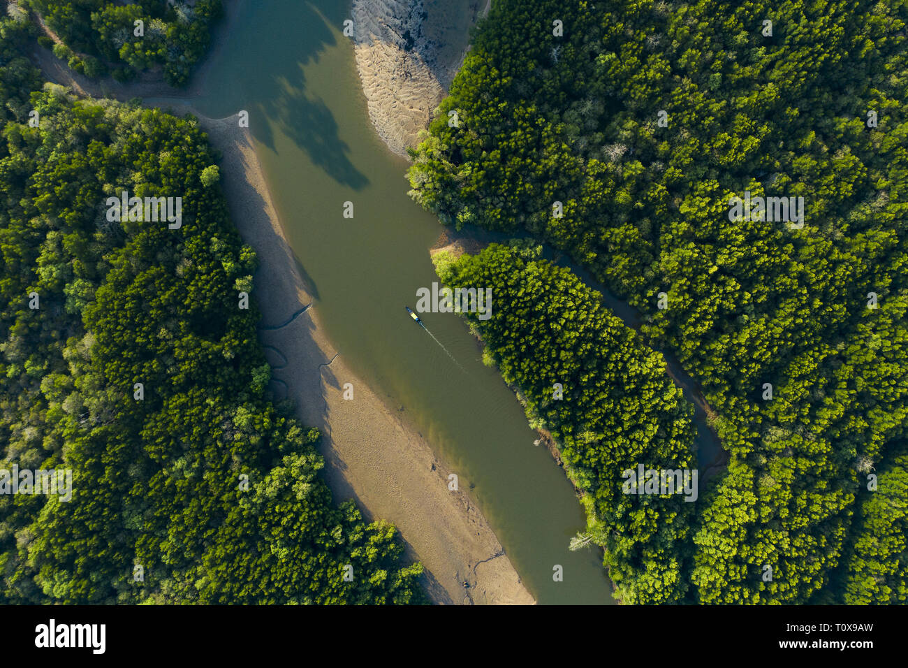 View from above, stunning aerial view of a traditional long tail boat that sails on a serpentine river flowing through a green tropical forest. Stock Photo