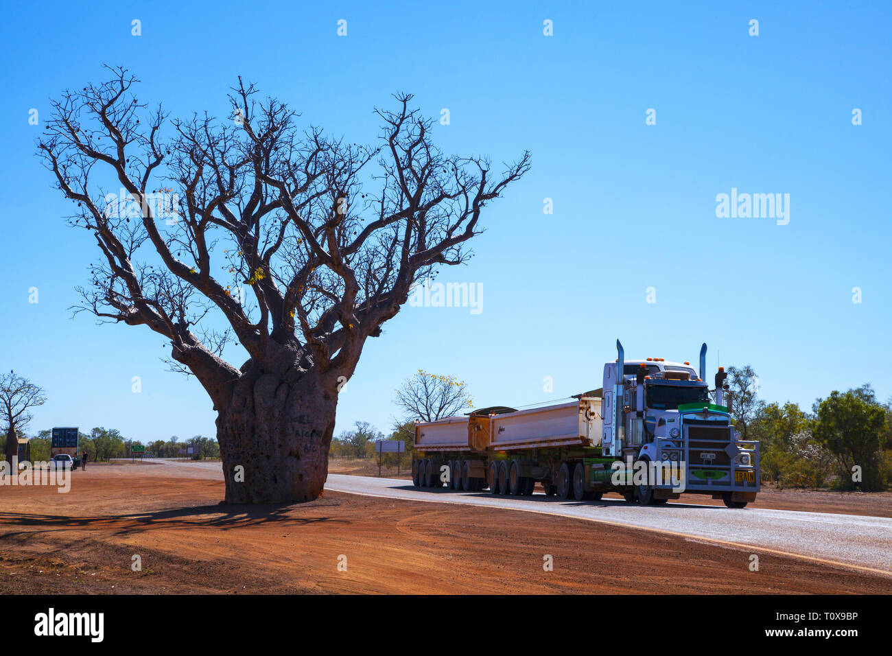 The Kimberley, Derby - July 2016: A road train rushes past the iconic Boab tree of the Kimberley. Stock Photo