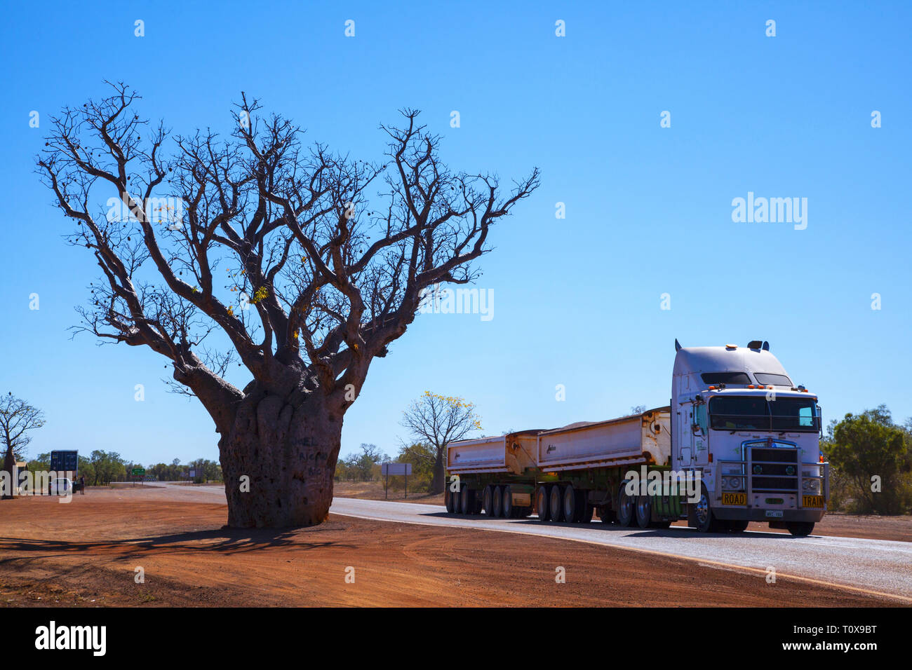 The Kimberley, Derby - July 2016: A road train rushes past the iconic Boab tree of the Kimberley. Stock Photo