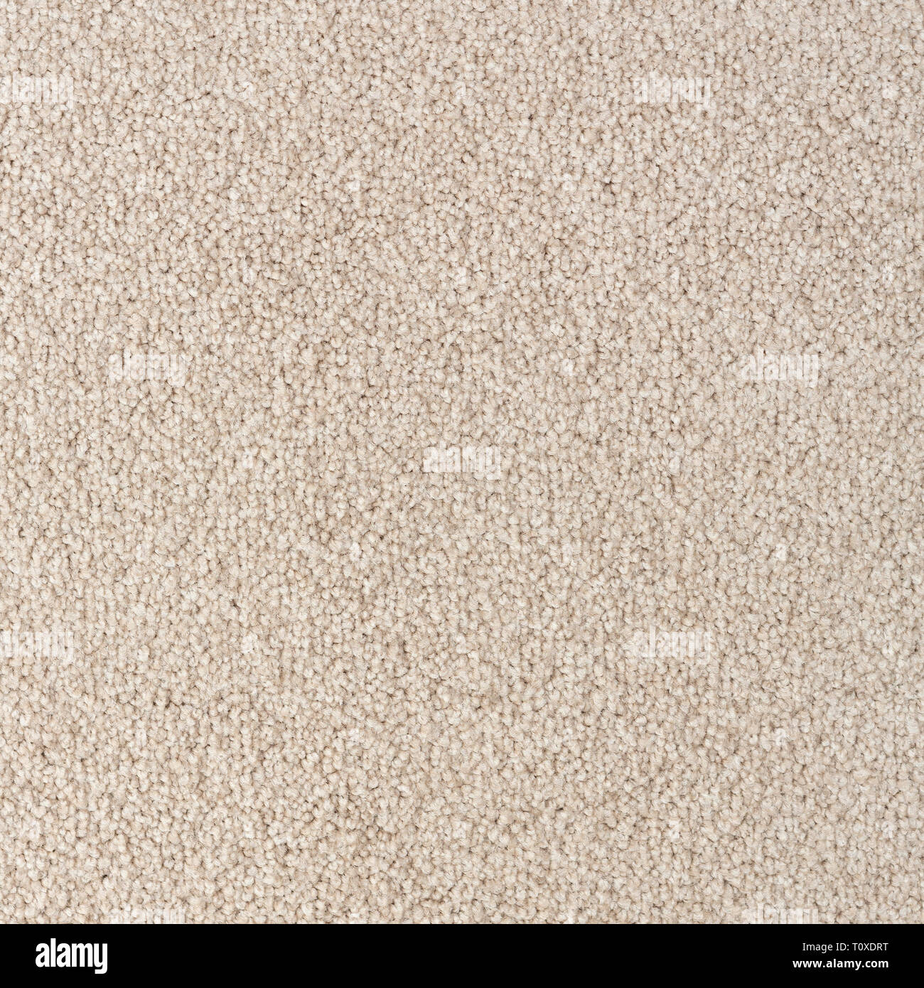 Texture of coloured carpet with short pile Stock Photo