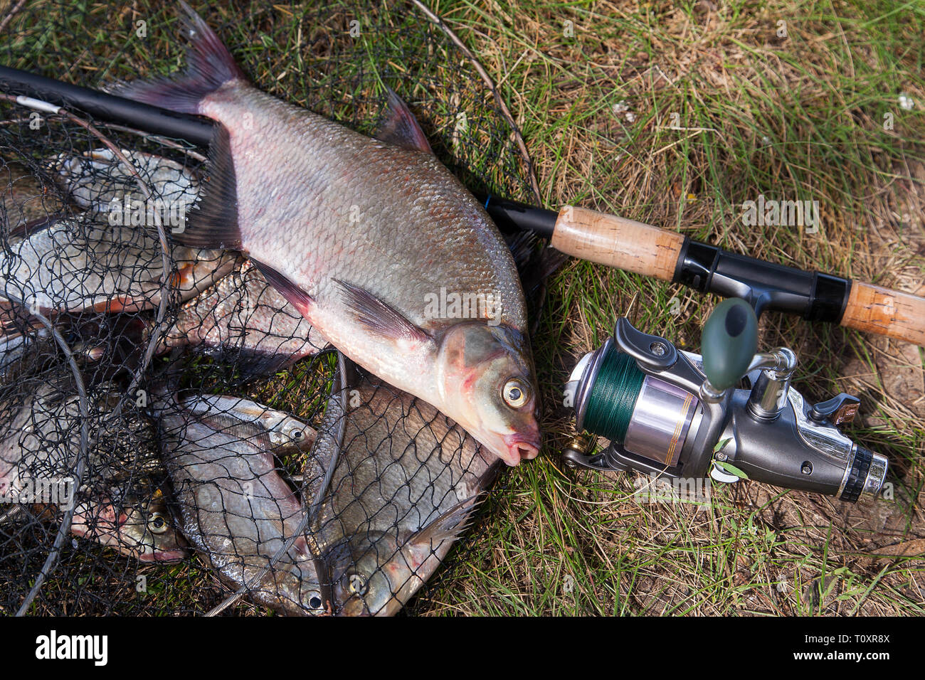 beach fishing reels uk Beach Fishing Reels