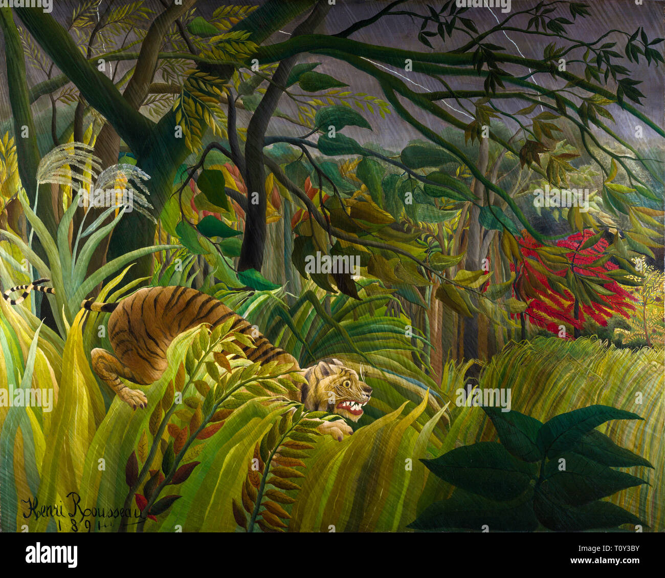 Tiger and tropical storm hi-res stock photography and images - Alamy