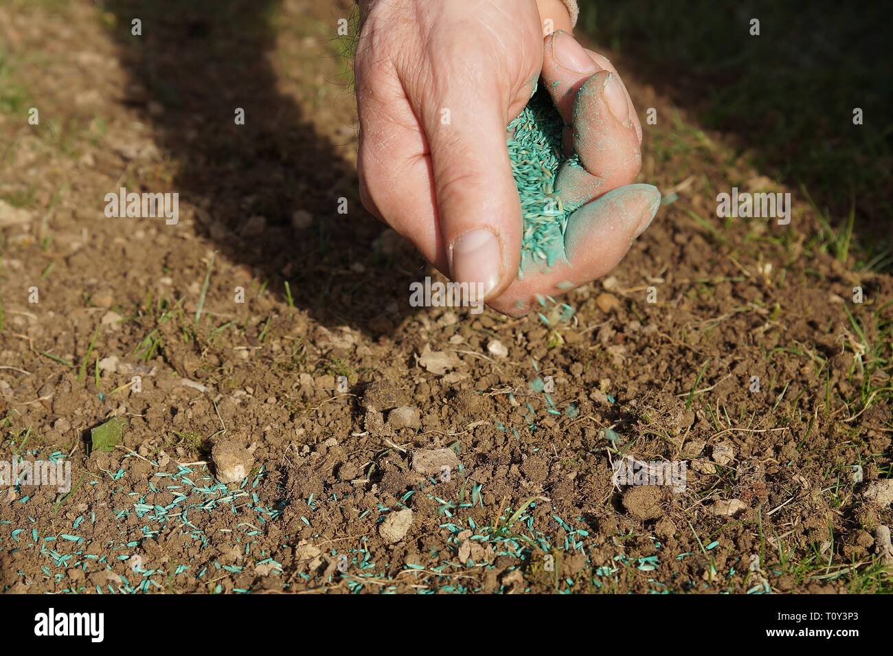 Spreading the seed hires stock photography and images Alamy