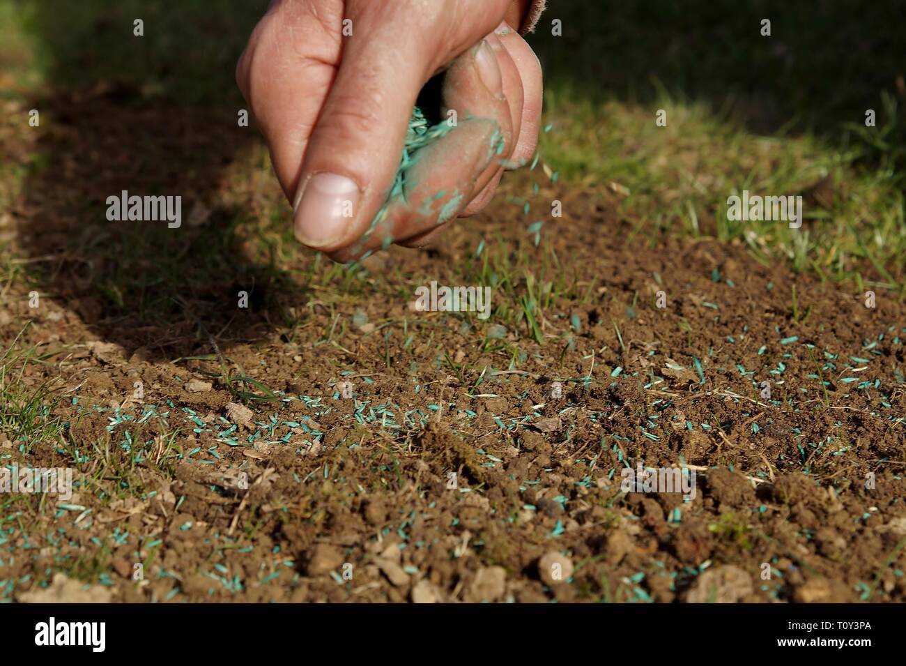 Hand scattering seeds hires stock photography and images Alamy