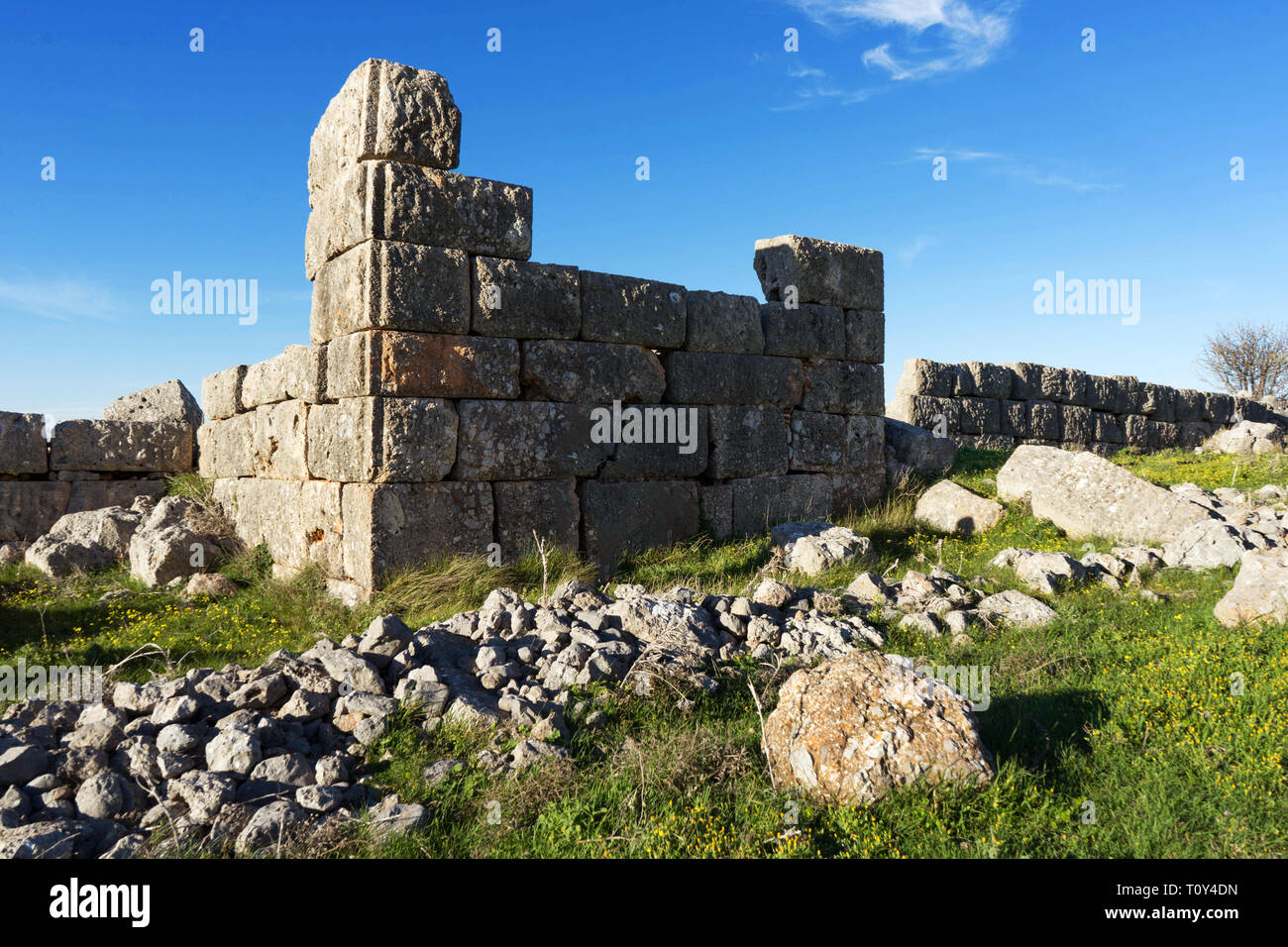 The ruins of the ancient Greek city Plataea, Greece Stock Photo