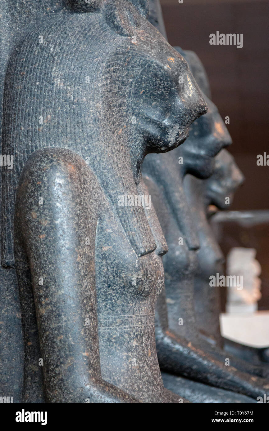 The six lion-headed Statues of Sakhmet on display in the Sackler Wing ...