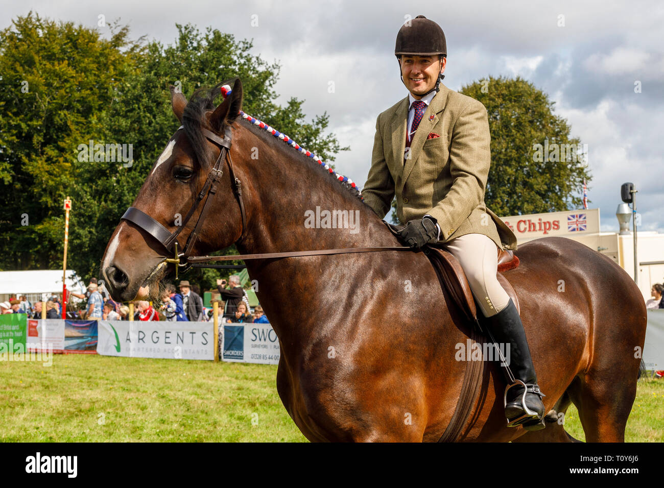 A hunter horse being ridden in the main ring at the 2018 Aylsham Agricultural Show, Norfolk, UK. Stock Photo