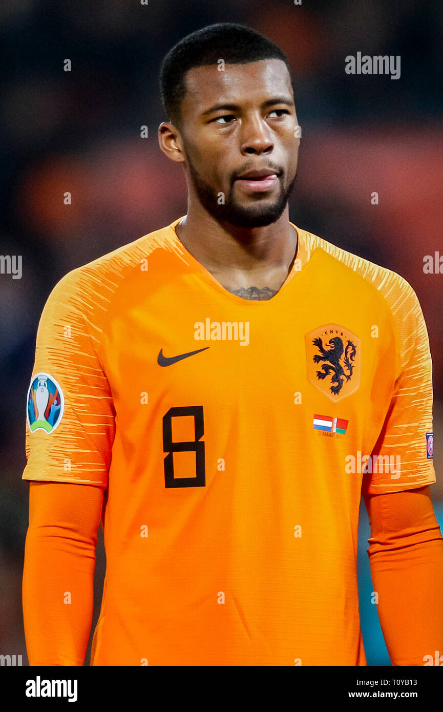 wijnaldum netherlands jersey