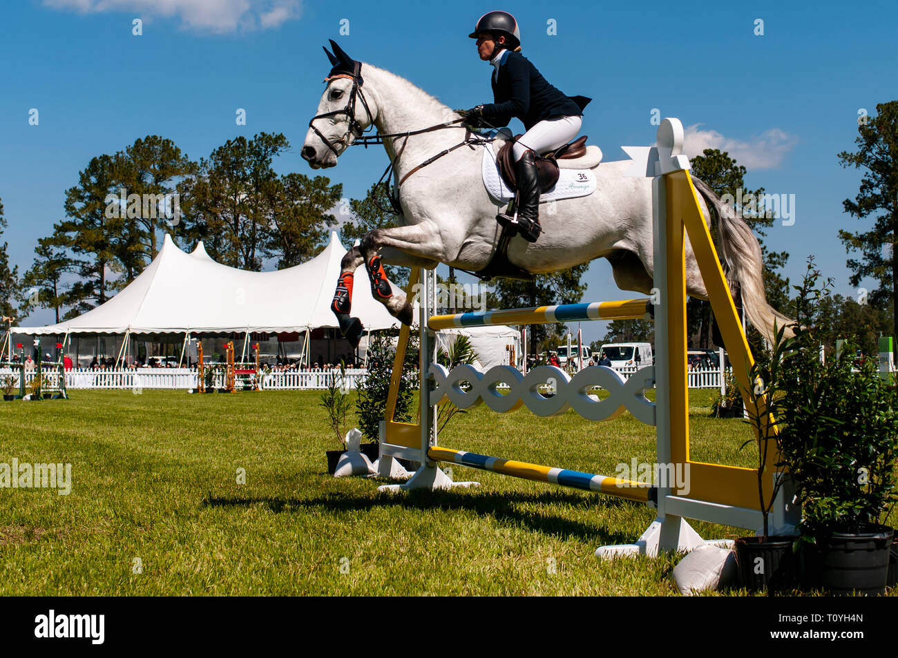 Raeford, North Carolina, USA. 22nd Mar, 2019. March 22, 2019 Raeford