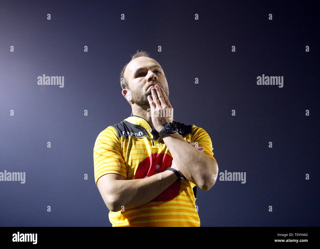 Galway Sports Ground, Galway, Ireland. 22nd Mar, 2019. Guinness Pro14 rugby, Connacht versus Benetton; Referee Mike Adamson watches the video replay before awarding a try to Connacht's Matt Healy Credit: Action Plus Sports/Alamy Live News Stock Photo