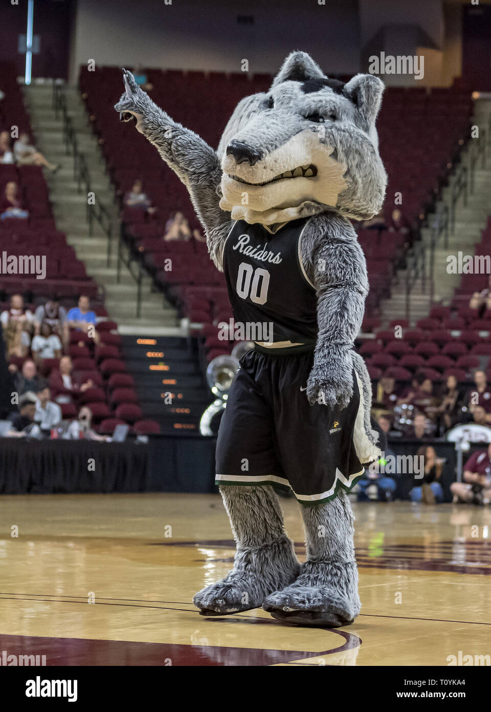 College Station Texas Usa 22nd Mar 2019 Wright State Raiders Mascot