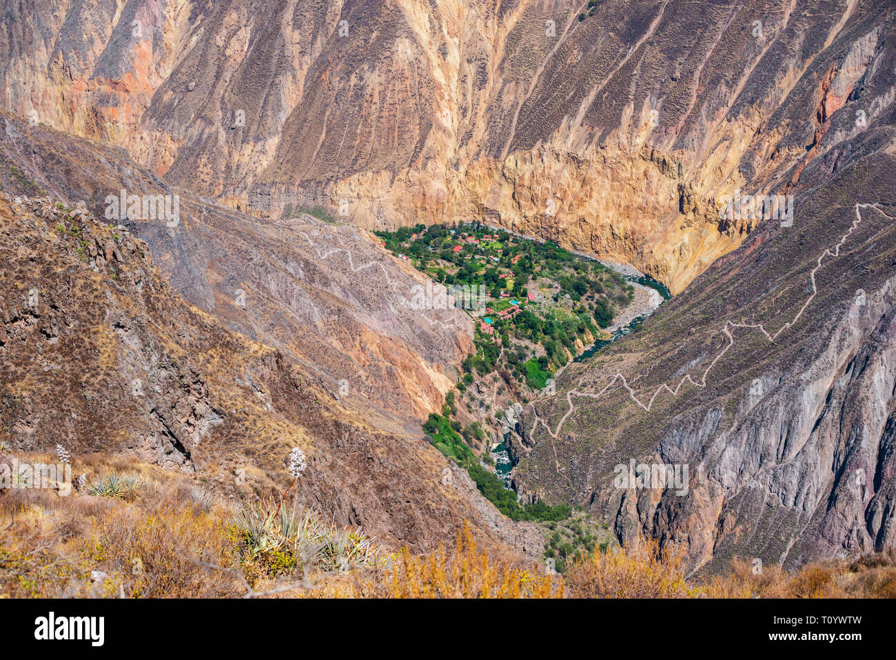 aerial view to scenic Oasis Sangalle located in Colca River Canyon, Peru Stock Photo