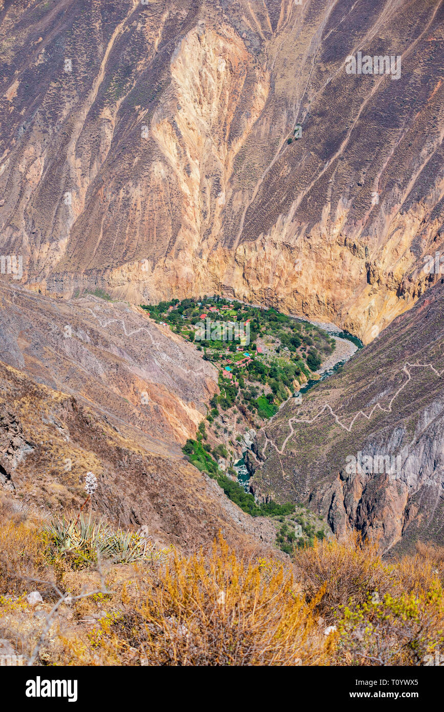aerial view to scenic Oasis Sangalle located in Colca River Canyon, Peru Stock Photo