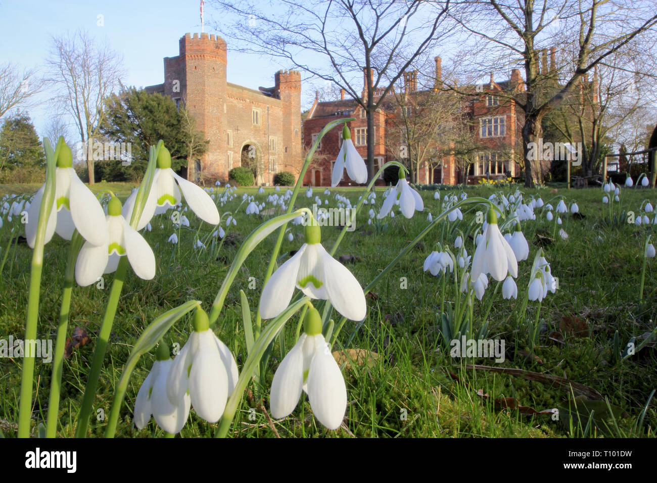 Hodsock Priory near Blyth, Nottinghamshire during their annual Snowdrop Week opening - February, UK, GB Stock Photo