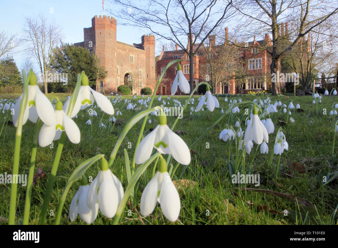 Hodsock Priory near Blyth, Nottinghamshire during their annual Snowdrop Week opening - February, UK, GB Stock Photo