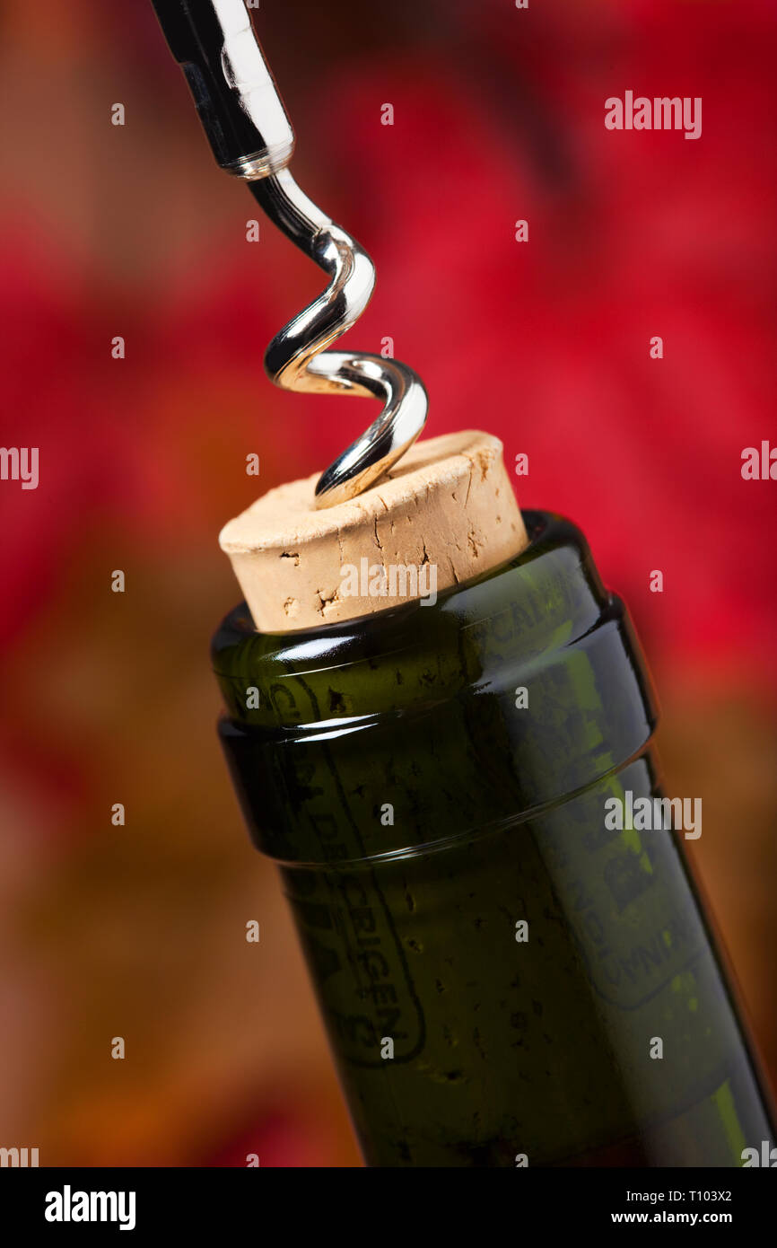 Pulling a cork from a wine bottle with a corkscrew Stock Photo