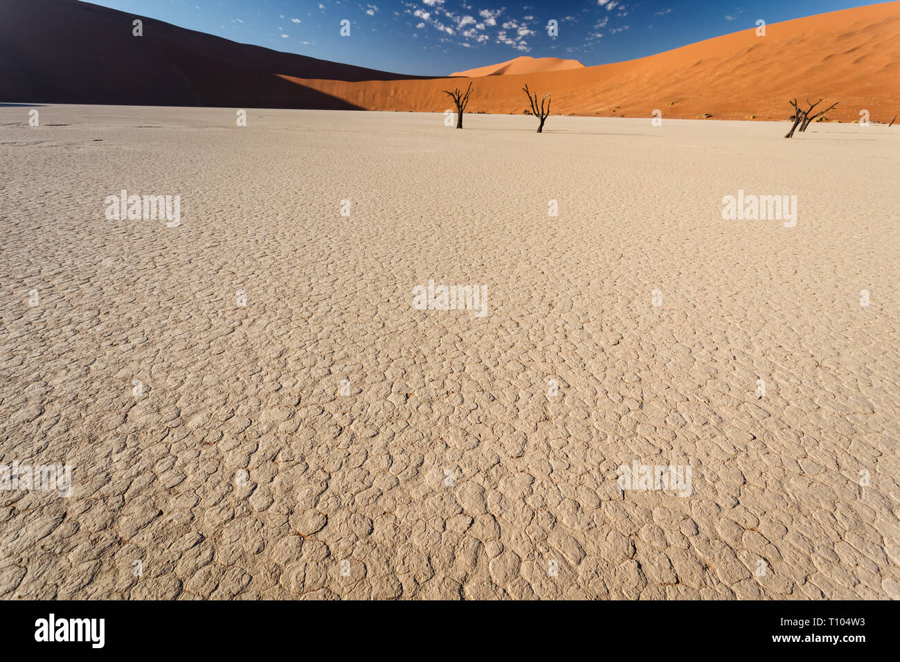 Dry mud texture dried riverbed hi-res stock photography and images - Alamy