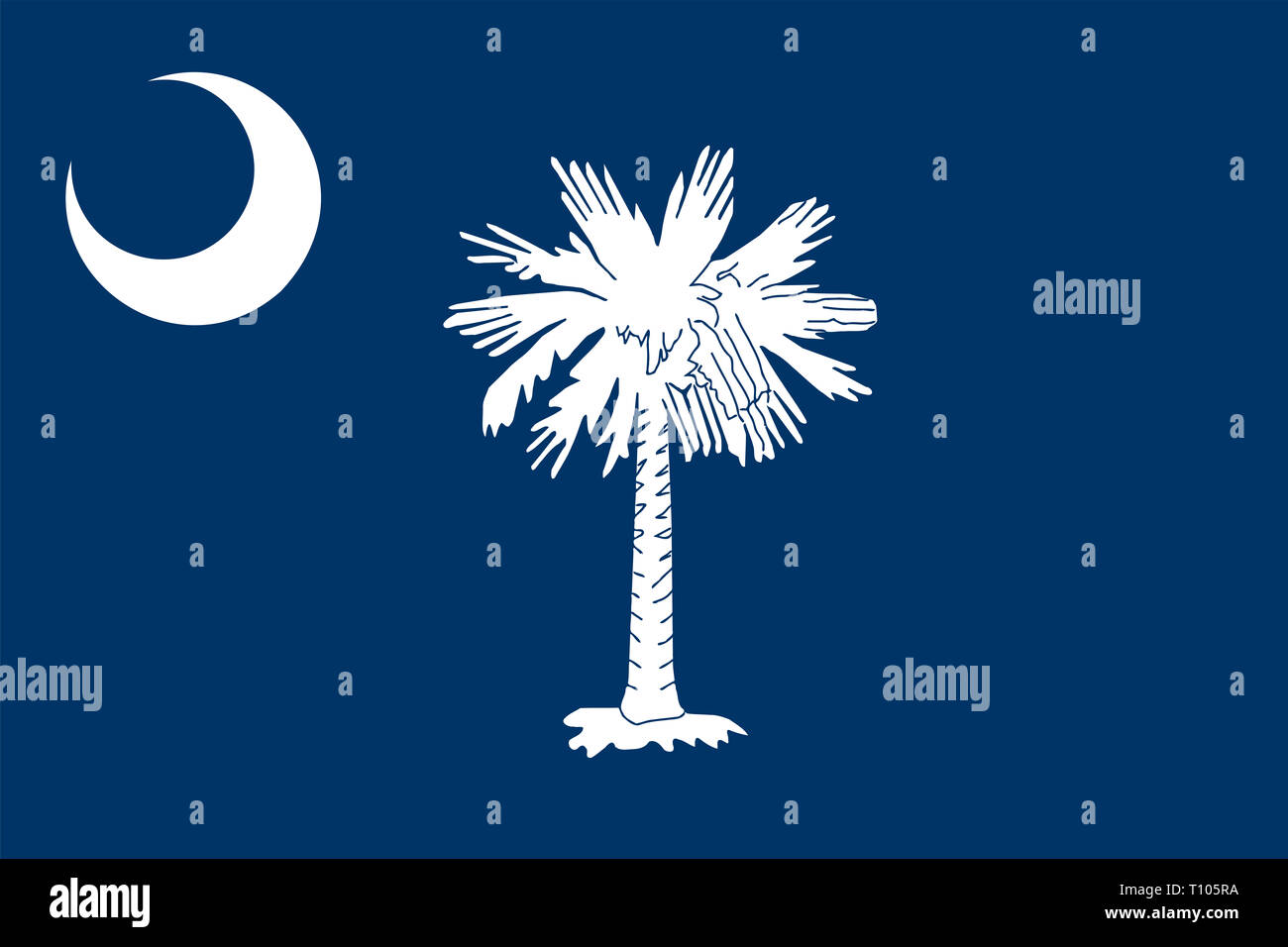 South Carolina State Flag Stock Photo