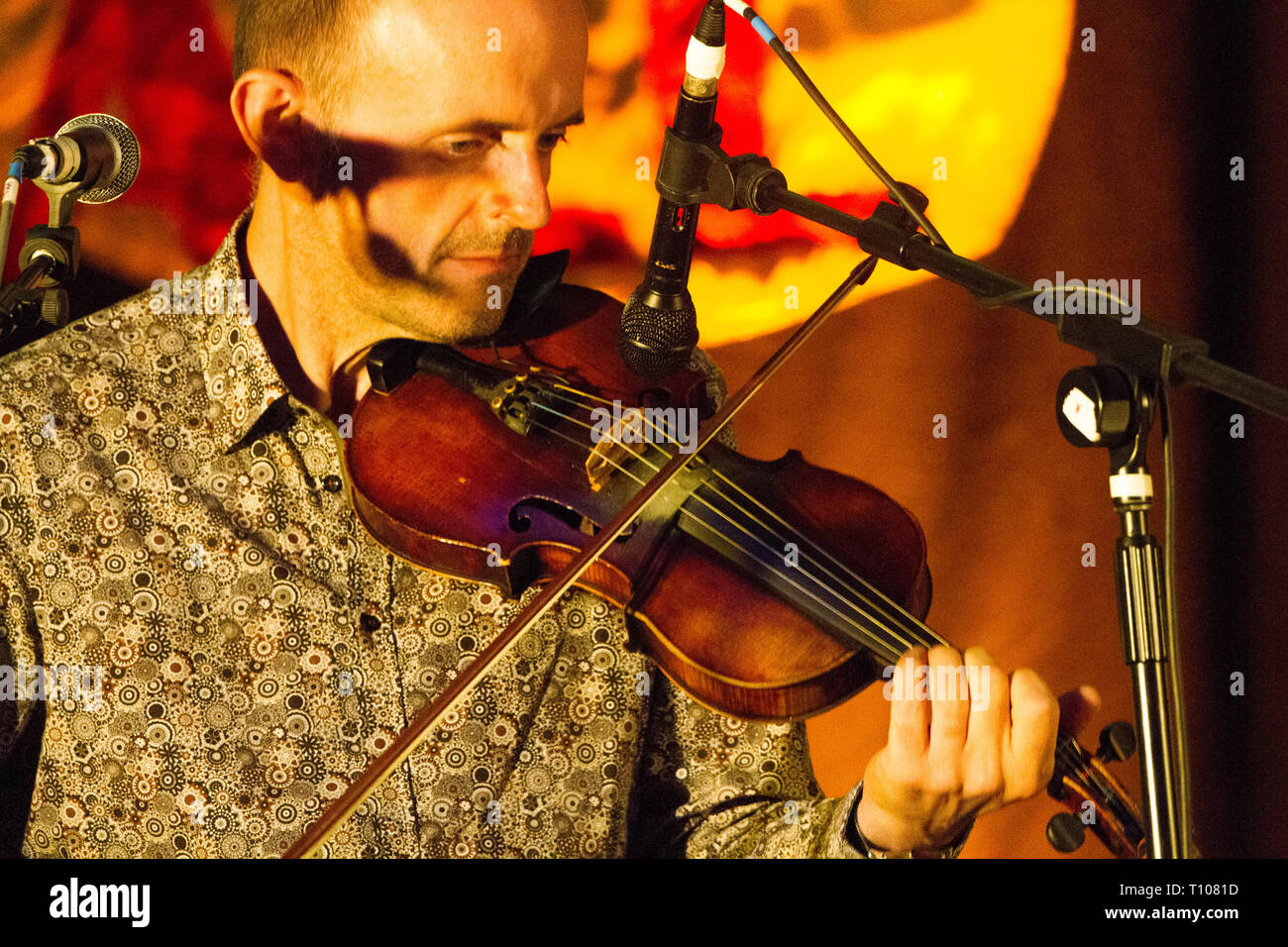 Duncan Chisholm playing live at Trelawnydd Memorial Hall N Wales Stock Photo