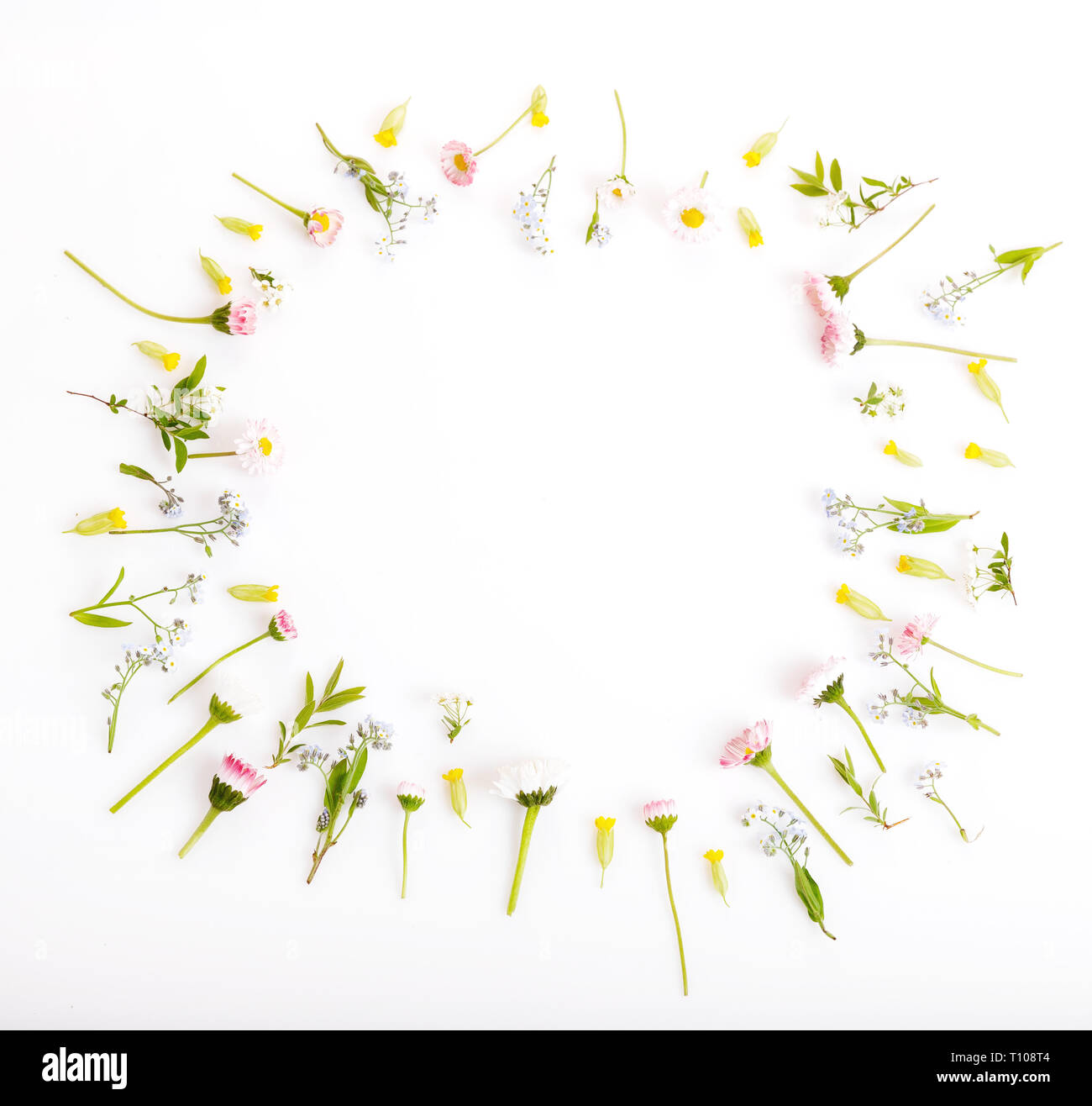 Forget me not flower border hi-res stock photography and images - Alamy