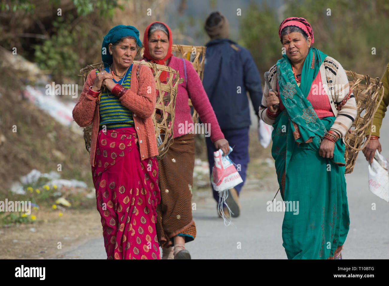 Three women wearing knitted wool clothing and head covering. Bindi, tika or tikka, mark on the forehead. Walking to work, empty woven baskets on their backs to harvest crops in nearby fields. Northern India. Winter. Stock Photo