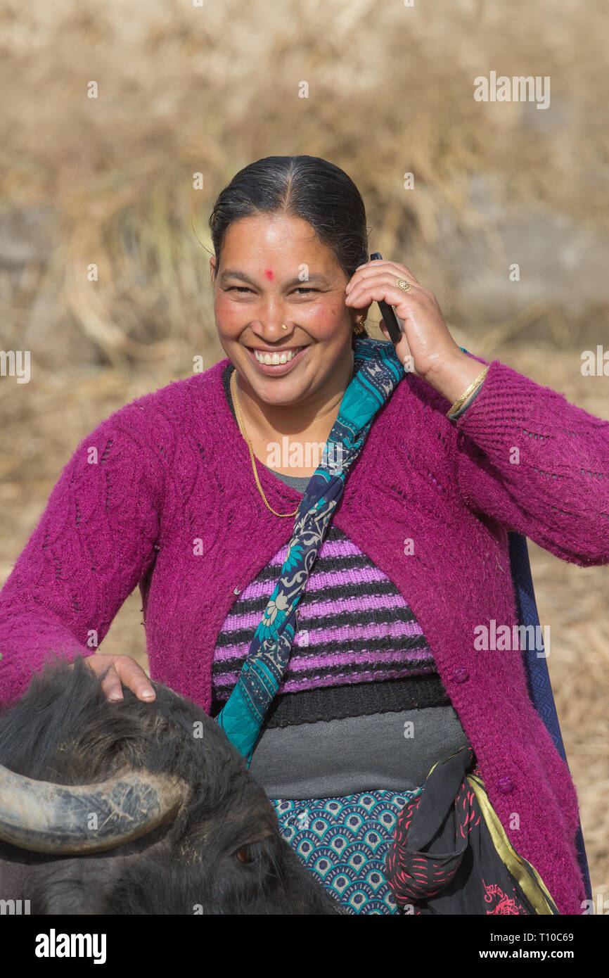 Woman wearing a knitted wool cardigan and pullover top. Bindi mark on the forehead. Mobile phone in use in one hand and resting the other on her tame domestic water buffalo. Stock Photo