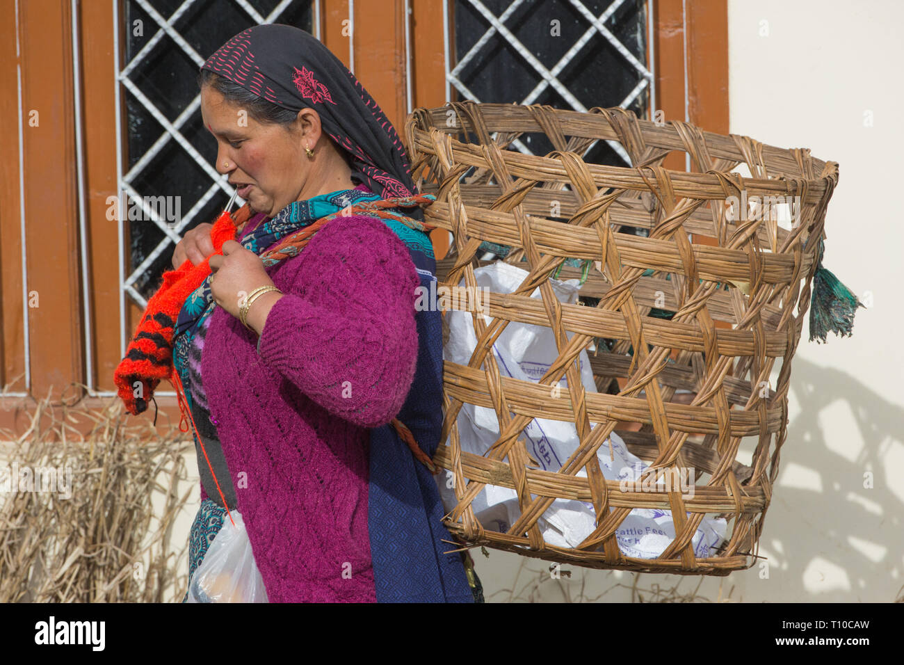 Woman wearing a knitted wool cardigan and pullover top. Knitting whilst she walks to a field plot and harvest vegetables. To be filled an empty hand woven basket on her back. Stock Photo