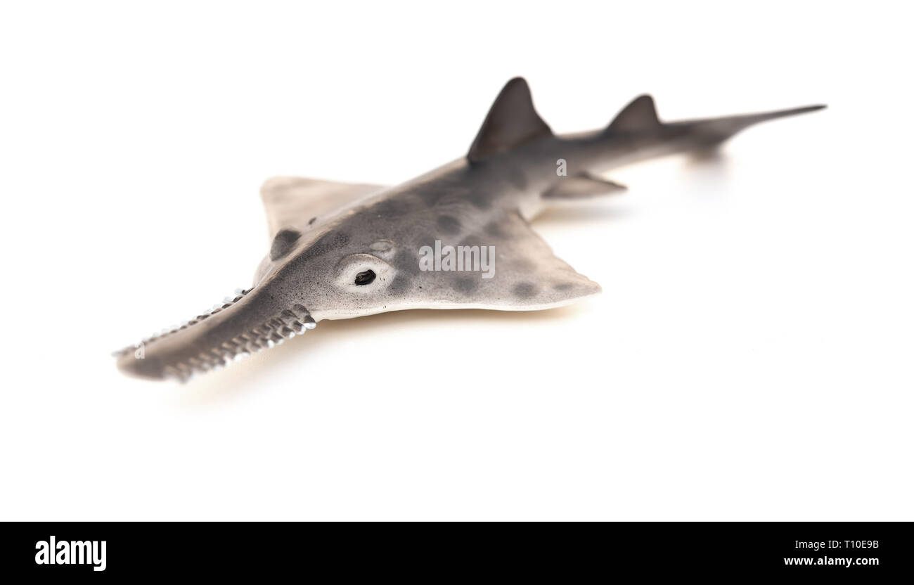toy saw shark model on white background Stock Photo Alamy
