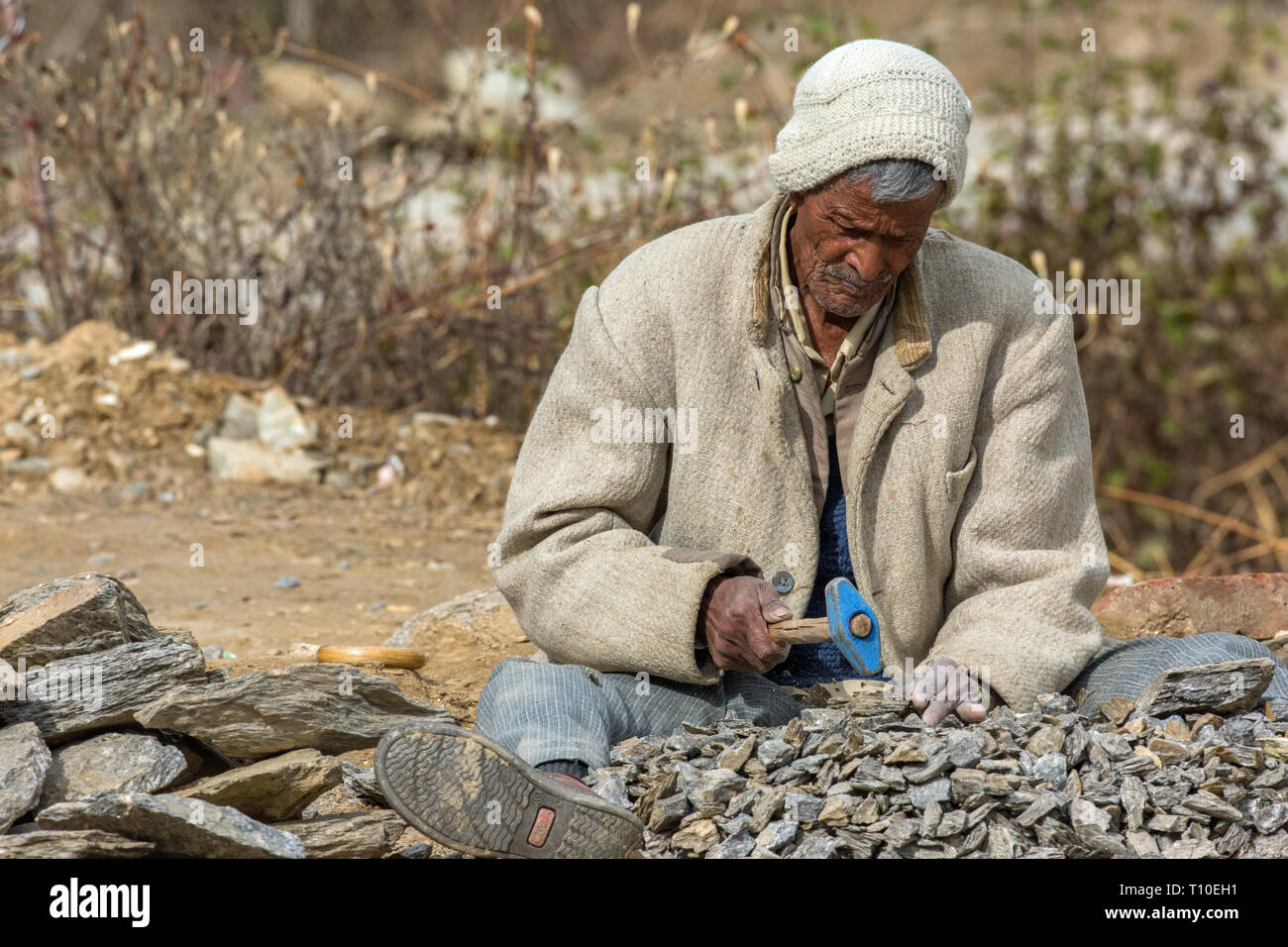 Man, stone braking, using a hand held a metal hammer or mallet head to chip smaller stones, all of near identical size towards local road construction. Himalayan foothills, northern India. Stock Photo