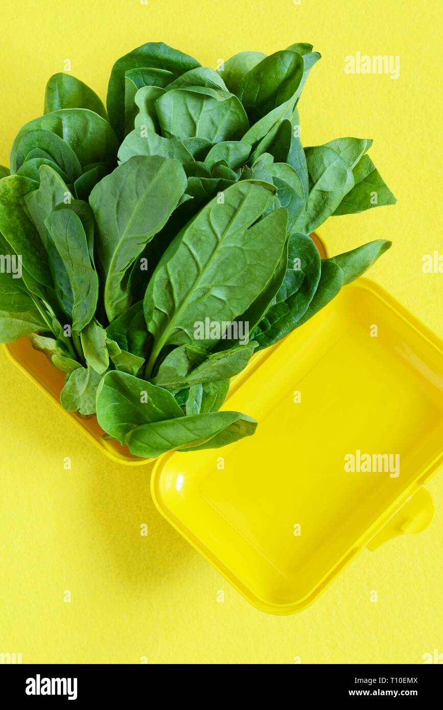 Download A Bunch Of Fresh Spinach In A Yellow Lunch Box On A Yellow Background Healthy Eating Concept Plastic Container Green Fresh Spinach Stock Photo Alamy Yellowimages Mockups