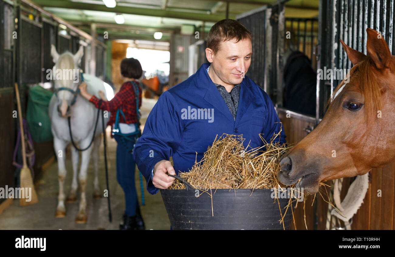 Male farm worker feeding horse with hay at stable Stock Photo Alamy
