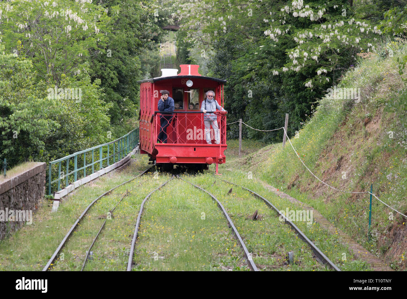 Red Funicular Train The view of red funicular and railroad through green trees between ...