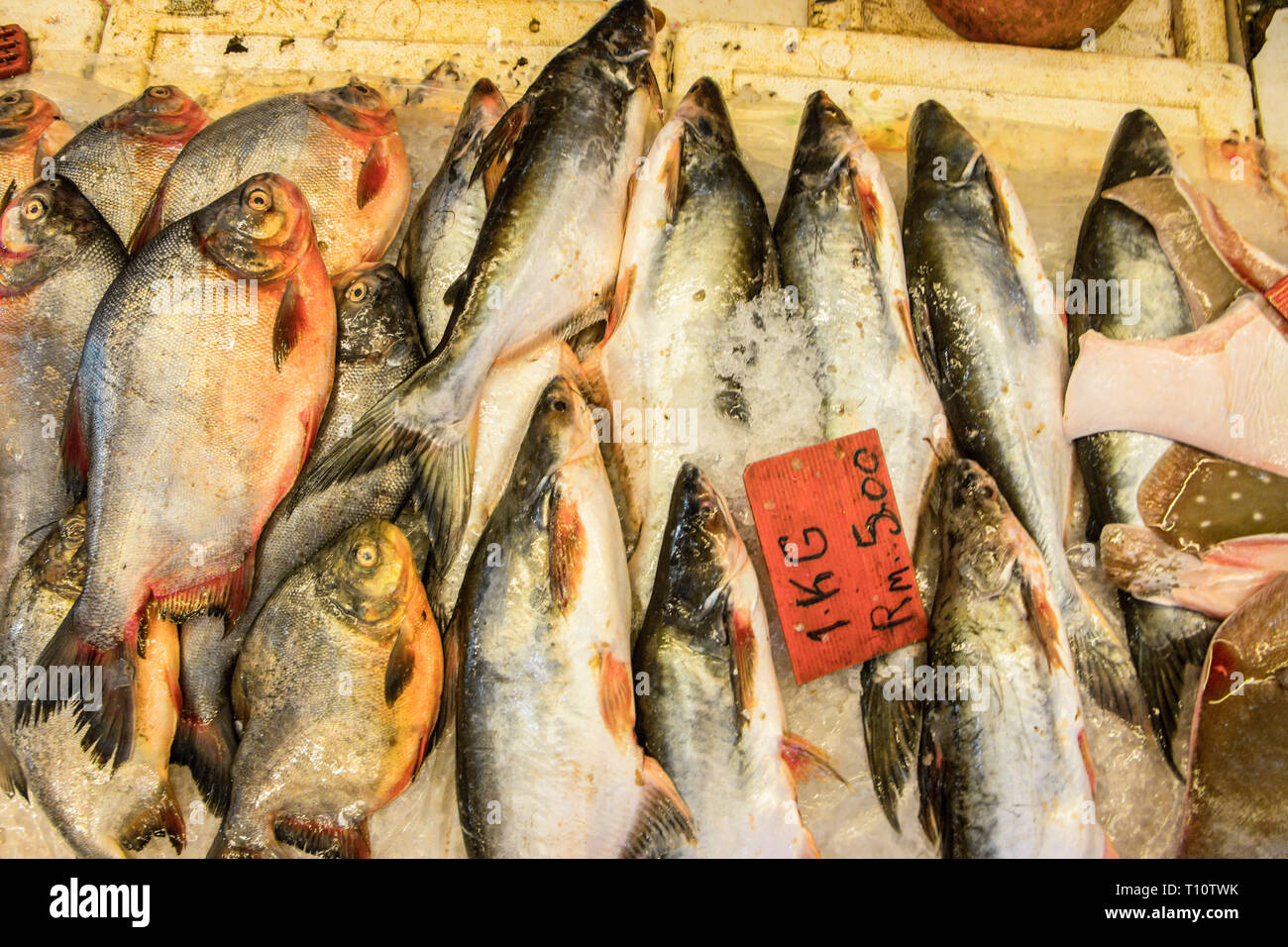 fresh fish in chinatown wet market, Kuala Lumpur, Malaysia Stock Photo