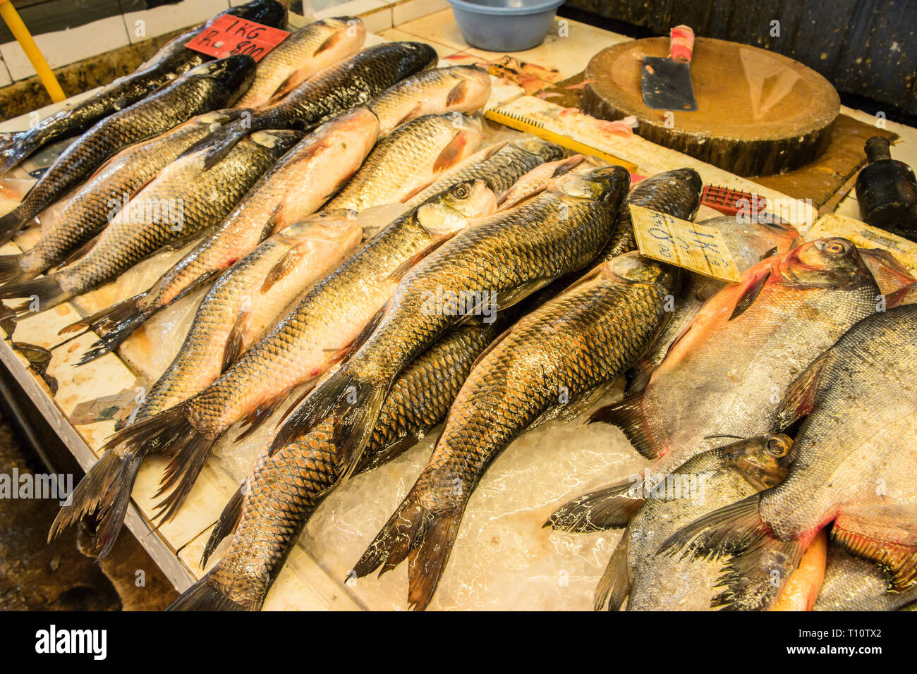 fresh fish in chinatown wet market, Kuala Lumpur, Malaysia Stock Photo