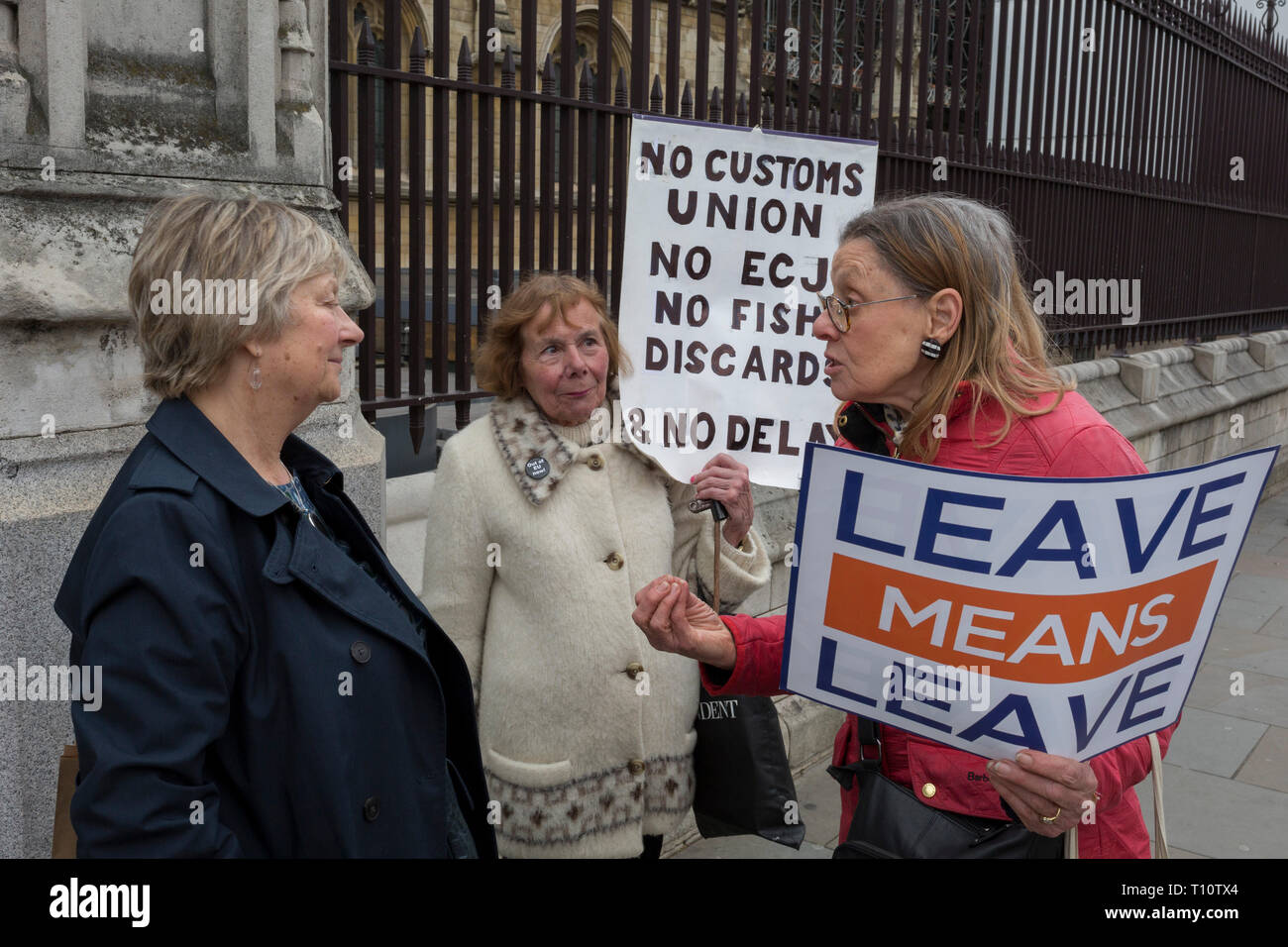 A day after Commons Speaker John Bercow announced his refusal to accept Prime Minster Theresa May's third Brexit Meaningful Vote, Leave Means Leaves Brexiteers protest outside the gates of parliament, on 19th March 2019, in London, England. Stock Photo