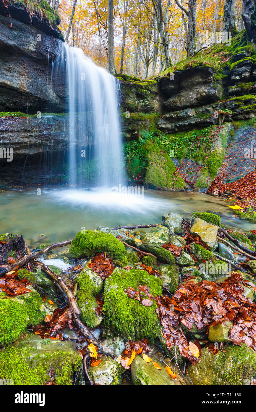 Waterfall in a beechwood. Stock Photo