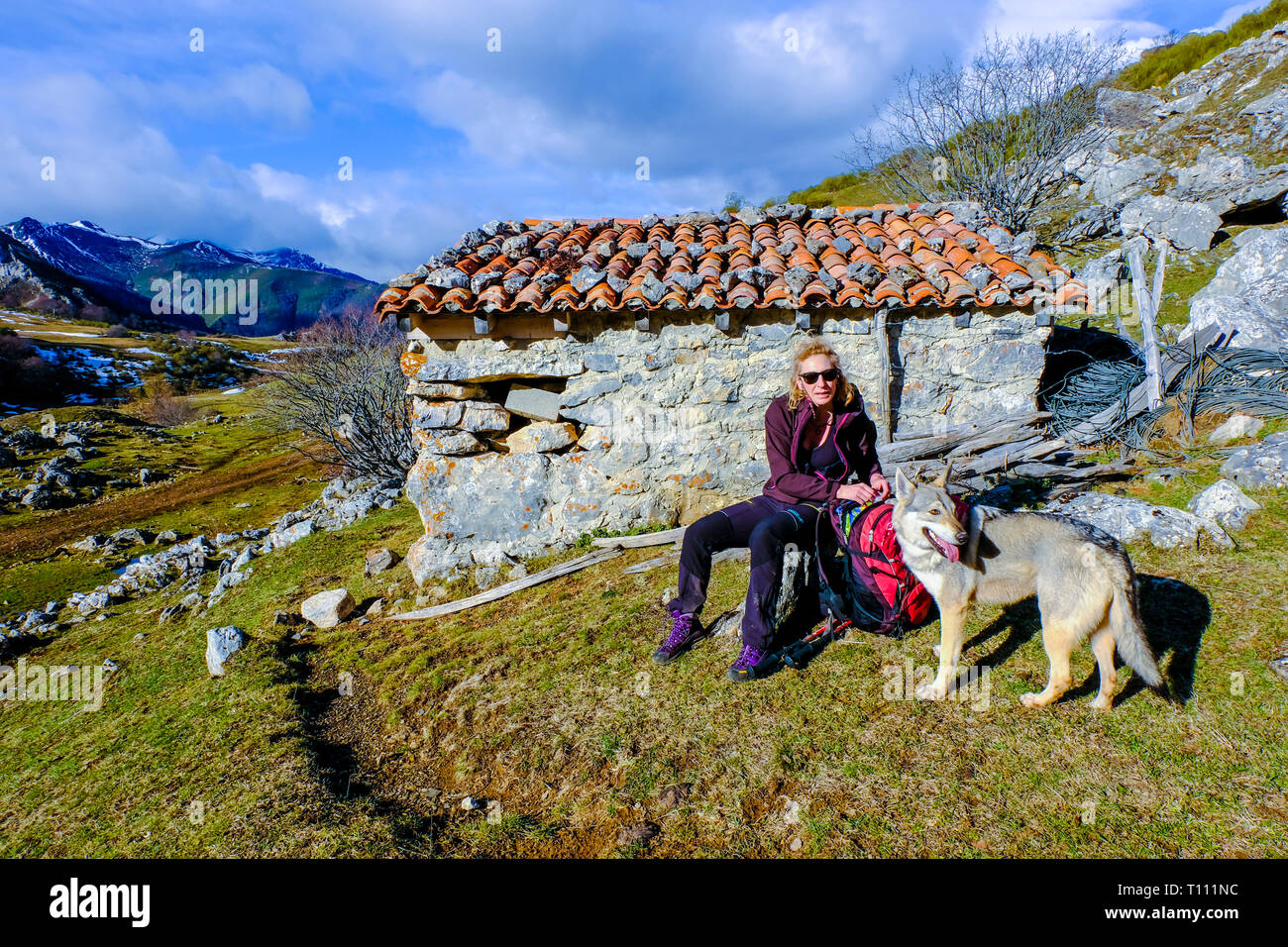 Woman and wolf dog in a refuge. Stock Photo